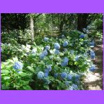 Rosedown Plantation Garden.jpg